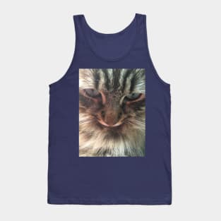 Iggie, The Adorable, Rescued Main Coon Kitten Tank Top